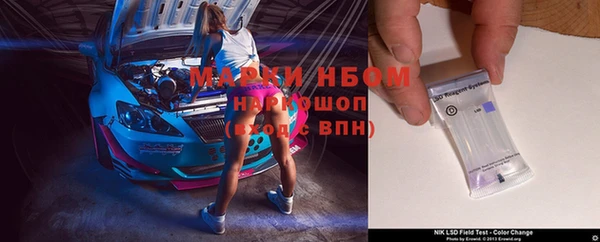 индика Абинск