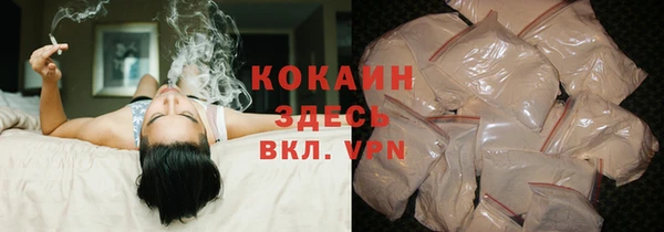 индика Абинск