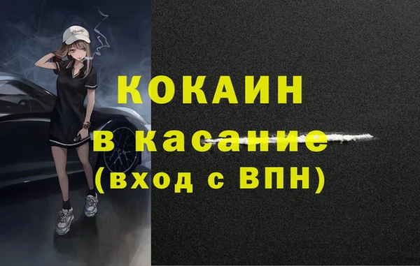 индика Абинск