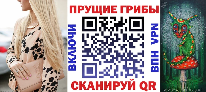 дарнет шоп  Елабуга  Галлюциногенные грибы GOLDEN TEACHER 